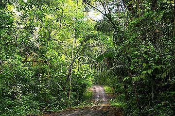 The Pipeline Road - A Birdwatchers Paradise