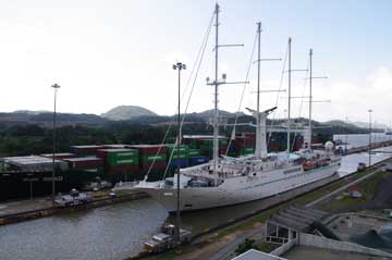 The msy Wind Star Cruise Ship in the Miraflores Locks